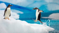 Learning and Unlearning: Key to developing the leaders of tomorrow