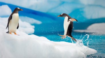 Learning and Unlearning: Key to developing the leaders of tomorrow