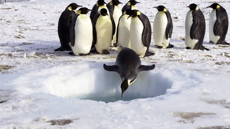 Leader has to thrive in complexity and tough volatility