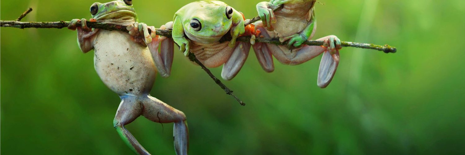 HR needs to focus on leadership and constant re-skilling at individual level