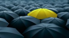 Tune into all frequencies