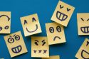 6 habits to remove frustration with your job or career