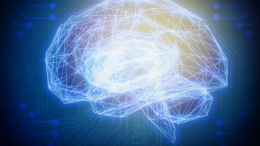 A double edged policy - Be or not to be?