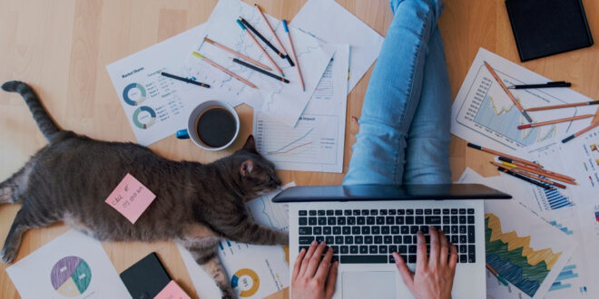 Hybrid work model in IT sector is unlikely to discontinue: HYSEA Survey