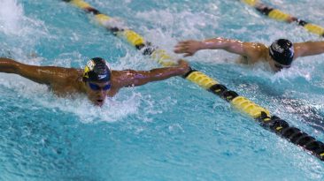 Organisations will follow a hybrid model with a calibrated usage of remote working