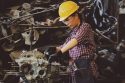 More blue-collar jobs up for grabs as economy opens up