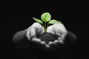 Instead of abrupt withdrawal, merge the incentives with future increment