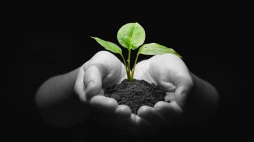 Instead of abrupt withdrawal, merge the incentives with future increment