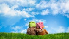 Understand the needs and instill confidence