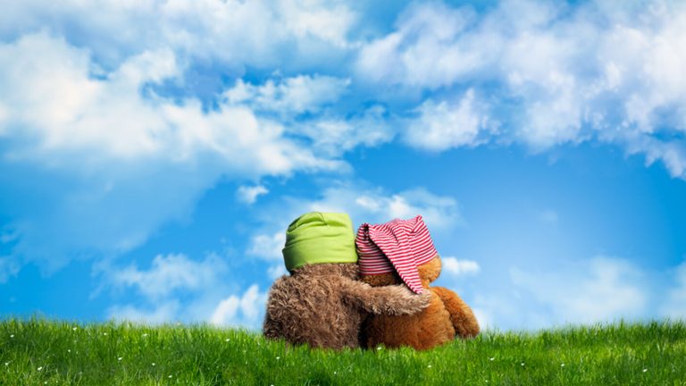 Understand the needs and instill confidence