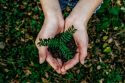 Green HRM : Not just a buzzword