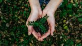 Green HRM : Not just a buzzword