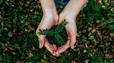 Green HRM : Not just a buzzword