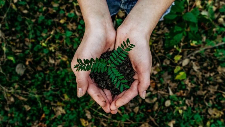 Green HRM : Not just a buzzword