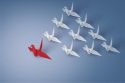 Diversity and Leadership