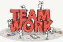 Steps to build diverse teams in organisations