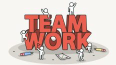 Steps to build diverse teams in organisations