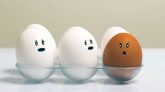 Not just a gender balance!