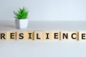 Reverse mentoring, Diversity and Resilience