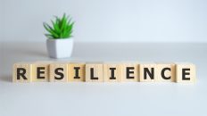 Reverse mentoring, Diversity and Resilience