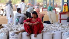 Women are dominating the communication roles in Gig Economy: Report