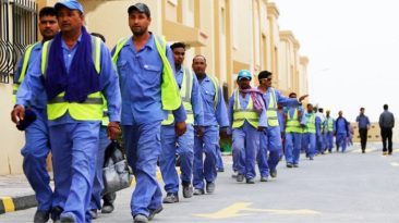 Blue-collar jobs to grow by 12% in 2023 compared to 2022