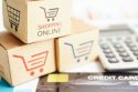 The role of e-commerce in the growth of the Indian Gig Economy