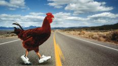 Yet another cross road