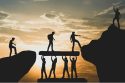 Organizational Alignment: The Key to Speed, Efficiency, and Resilience