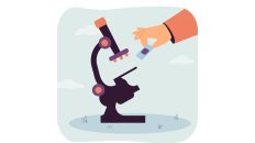 Kerala Pathological labs are covered under ESI Act from the date of notification: SC