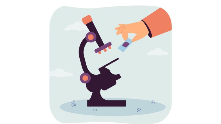 Kerala Pathological labs are covered under ESI Act from the date of notification: SC