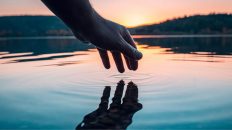 Reflections on the nature of parliamentary System-making frameworks