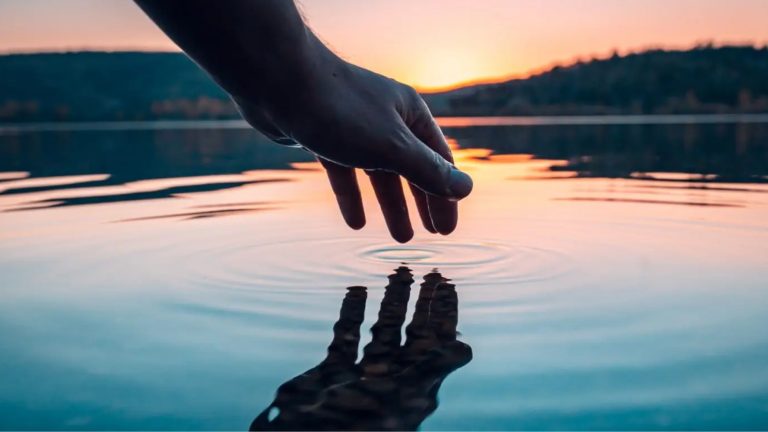 Reflections on the nature of parliamentary System-making frameworks