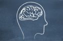 Learning in a Holistic Manner: An Important Dimension of Life