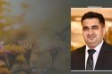 Nurture the Organisational Values That Lay the Foundation