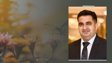 Nurture the Organisational Values That Lay the Foundation