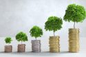 The Gig Economy in Transition: India's Realities and Global Insights