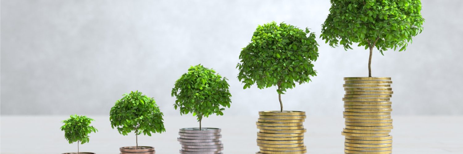 The Gig Economy in Transition: India's Realities and Global Insights