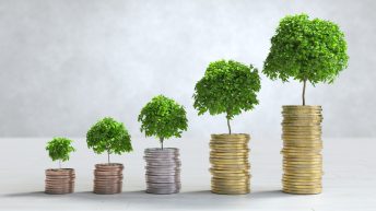 The Gig Economy in Transition: India's Realities and Global Insights
