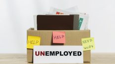 Massive job losses in 2025 as IT Sector and Startups Restructure for AI Era