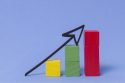 Patterns of Growth and the Likely Trends for the Future