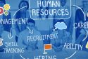 The State of HR Research 2025: What Indian Businesses Must Learn Now