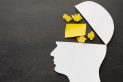 The Case Method: Teaching Minds Not Memories